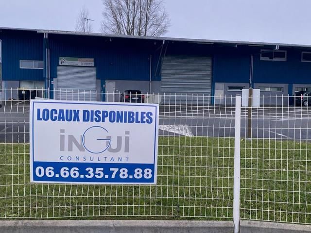 WhatsApp Image 2026-02-03 at 16.29.34