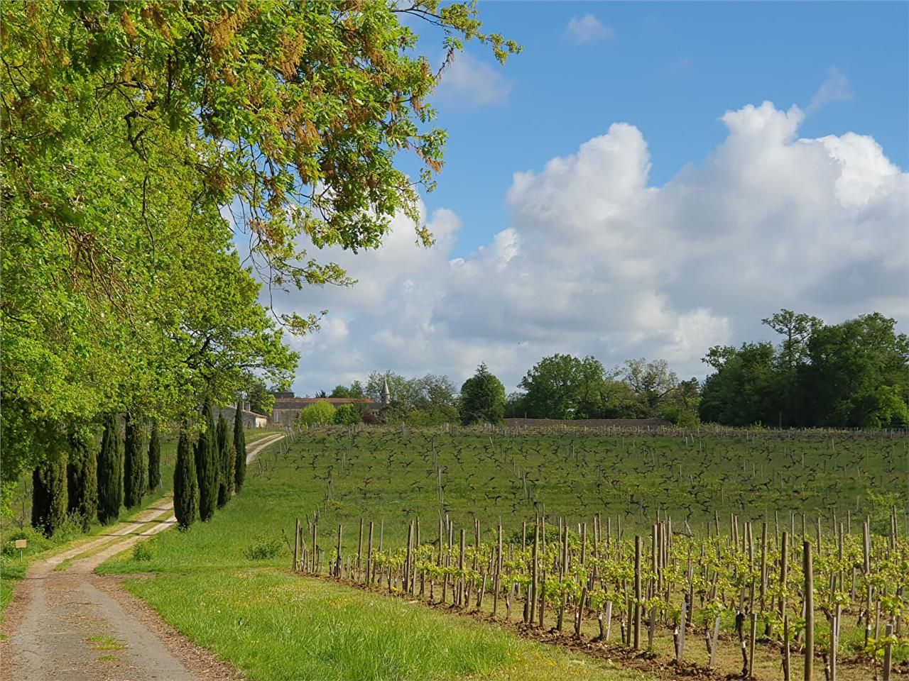 Vente local 2620 m² non divisibles