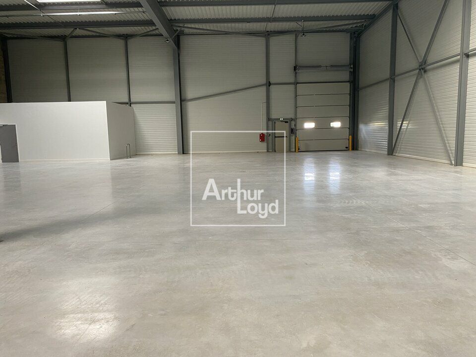 Entrepôt neuf à louer - LIEUSAINT