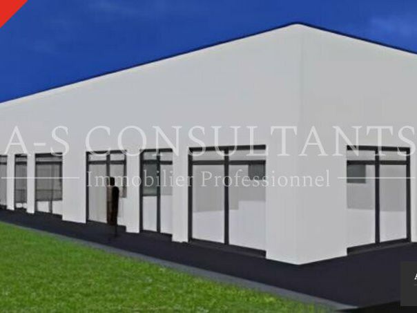 Location local professionnel 250 m² divisibles à partir de 124.97 m²