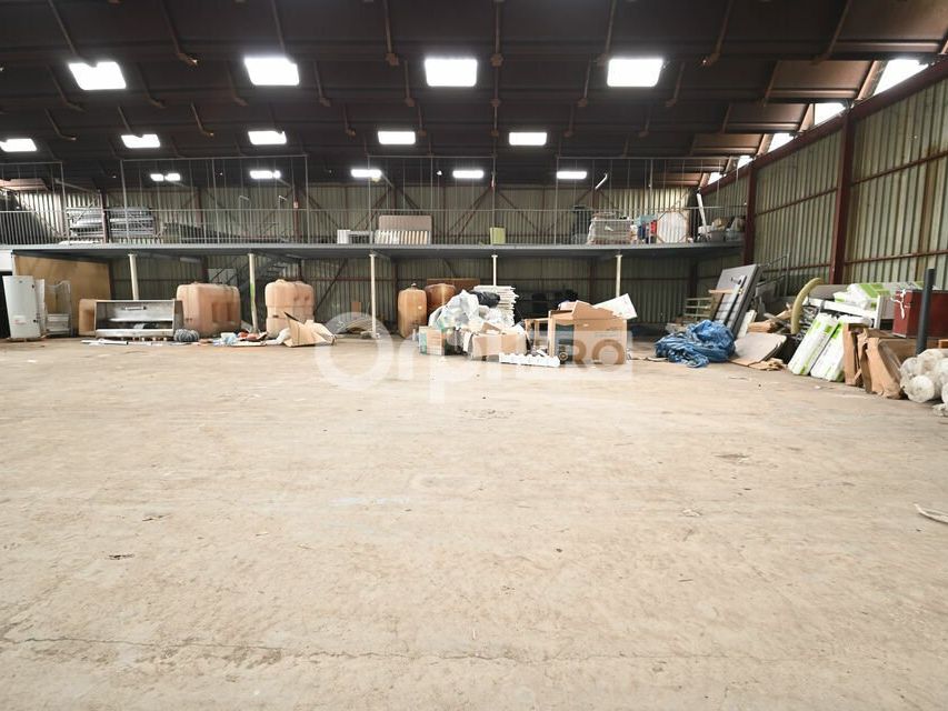 Vente local d''activites 1100 m² non divisibles