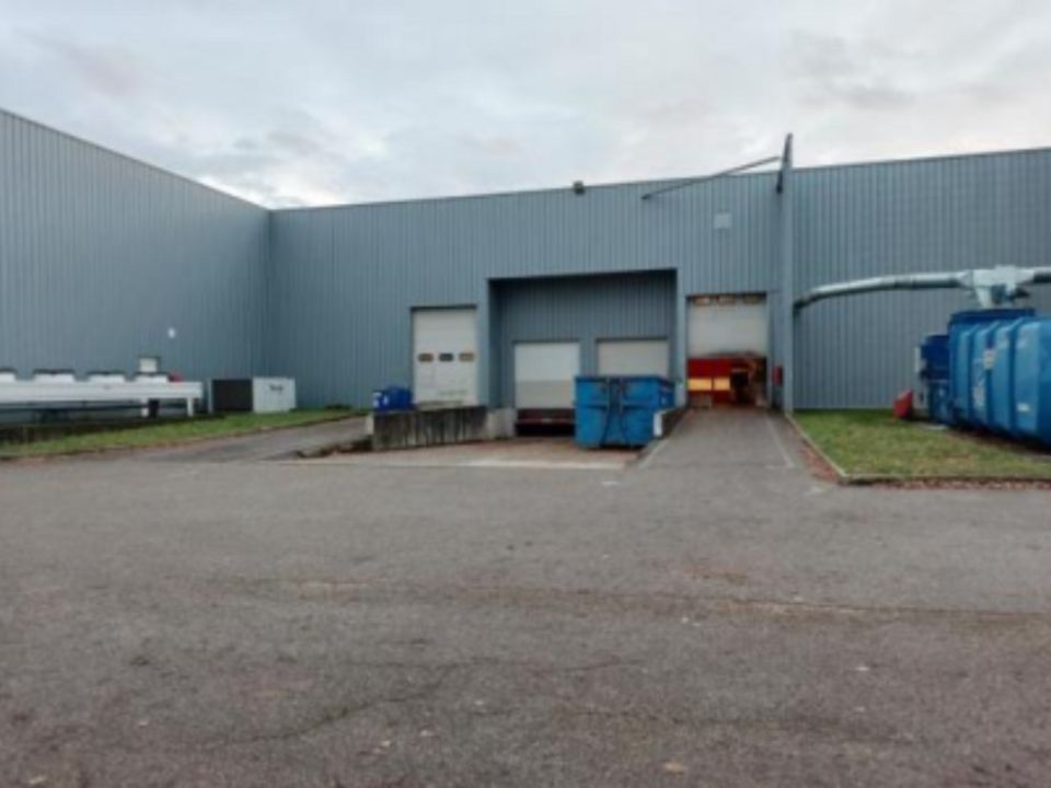 Vente local d''activites 4223 m² non divisibles