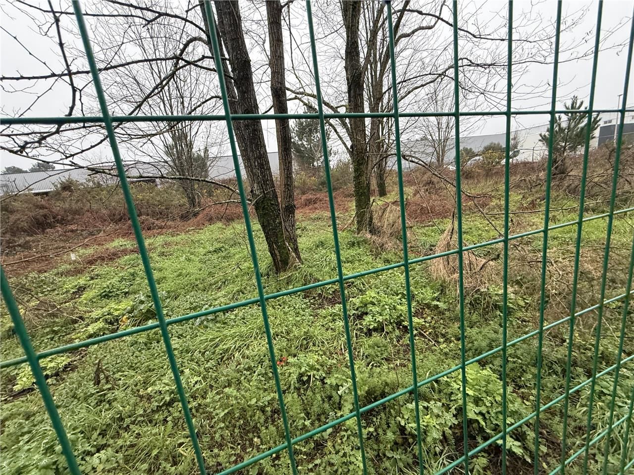 2325 m² dispo à Cestas