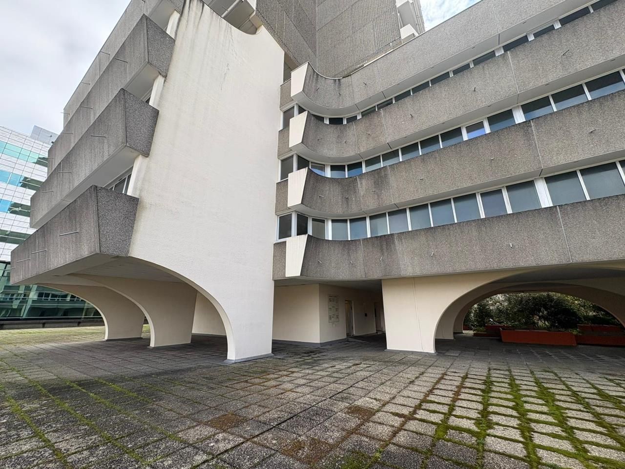 WhatsApp Image 2026-02-23 at 14.36.11