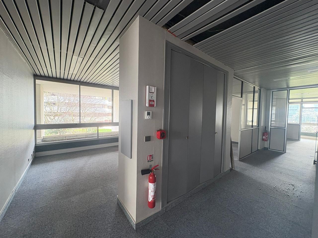 WhatsApp Image 2026-02-23 at 14.36.15