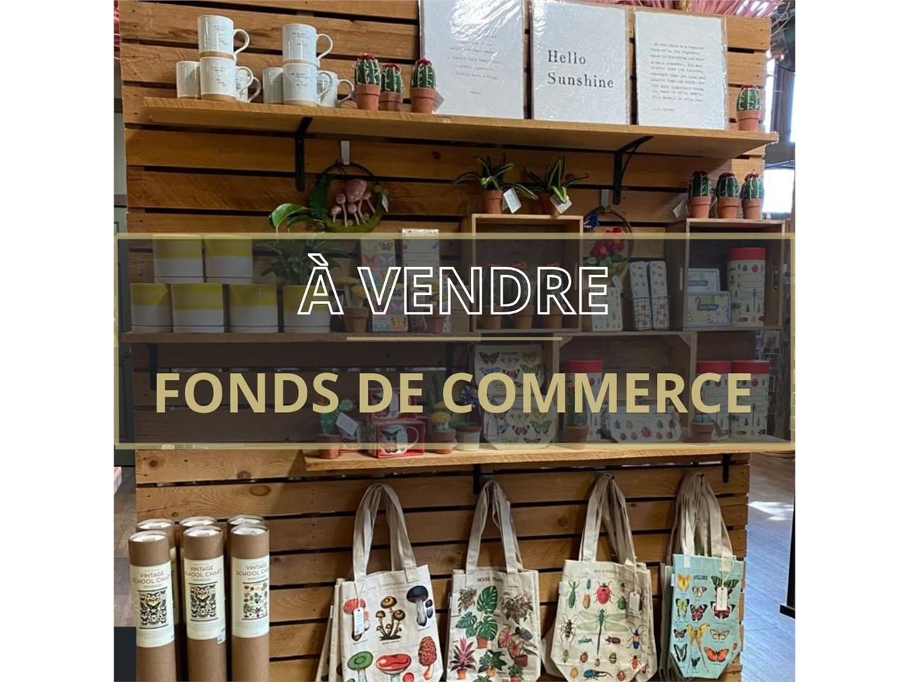 Vente fonds de commerce 22.00 m² à Cabourg