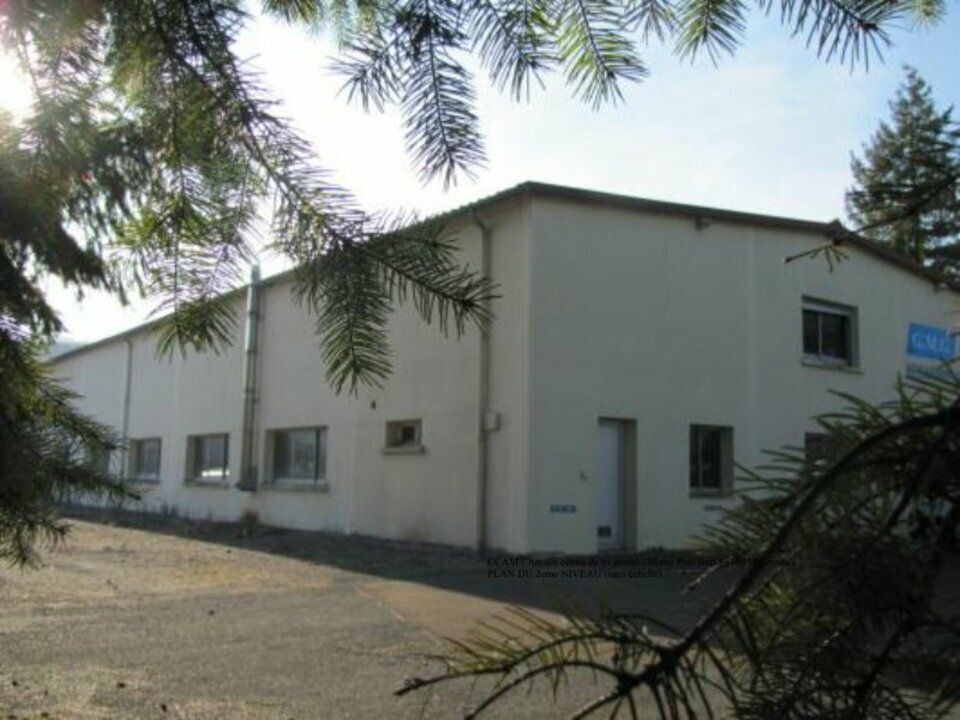 Bâtiment industriel à vendre ou à louer de 1244 m² à Biesles (52340)