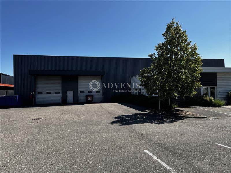 Bâtiment indépendant d'activité et stockage à vendre - ZI Sud - Illkirch Graffenstaden