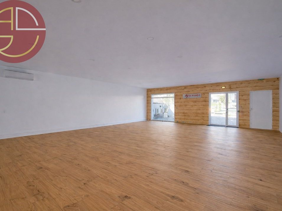 Vente local commercial 485 m² à PLAISANCE-DU-TOUCH