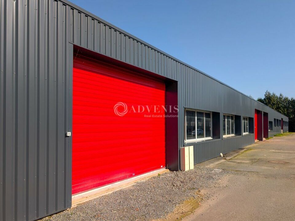 Locaux d'activités à vendre - Réhabilités