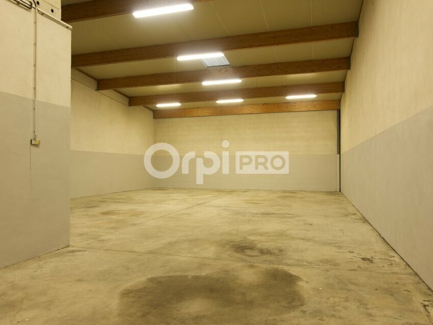 LOCAL D'ACTIVITE A LOUER - 219 m² -   MEYZIEU