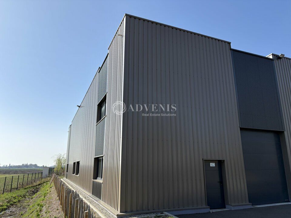 Cellule d'activités à louer - Zone d'Activités - Kilstett