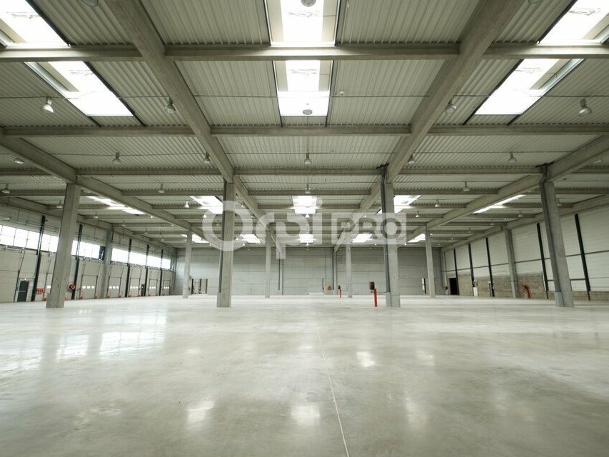 Location local d''activites 9623 m² non divisibles