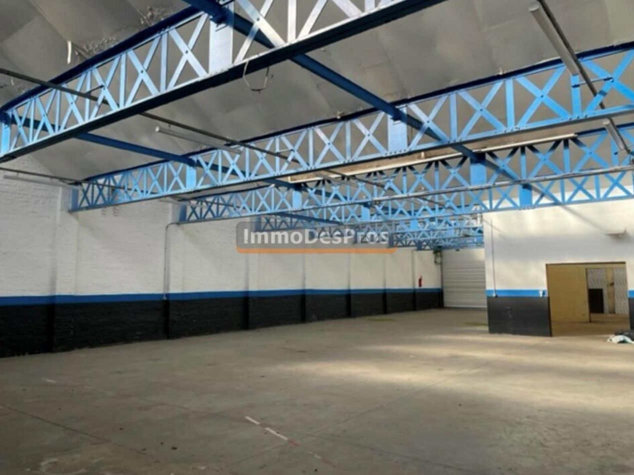 vente - location - localdactivite - halluin