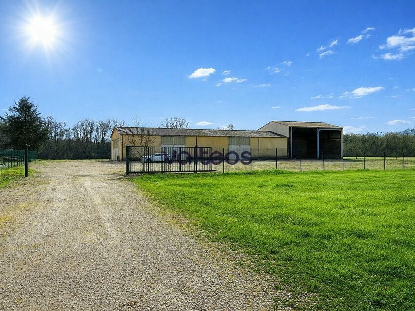 Location local d''activites 330 m² non divisibles