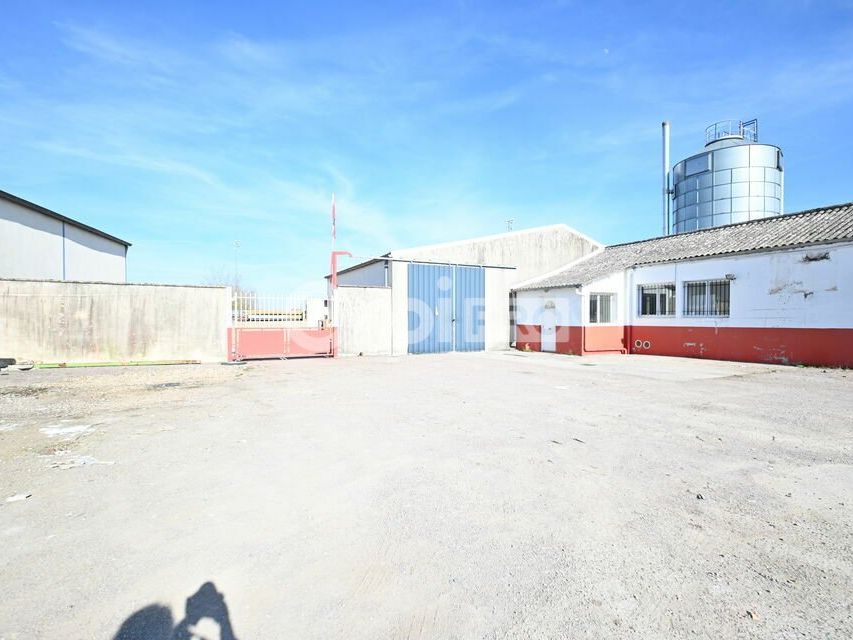 LOCAL D'ACTIVITE A LOUER - 212 m² - CRISSEY