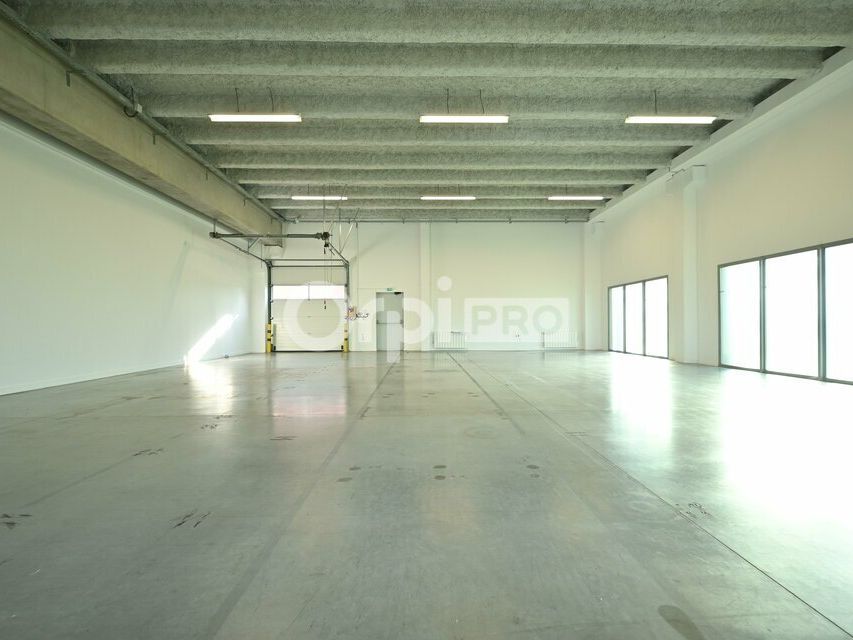 LOCAL D'ACTIVITE A LOUER - 229 m² - SAINT PRIEST