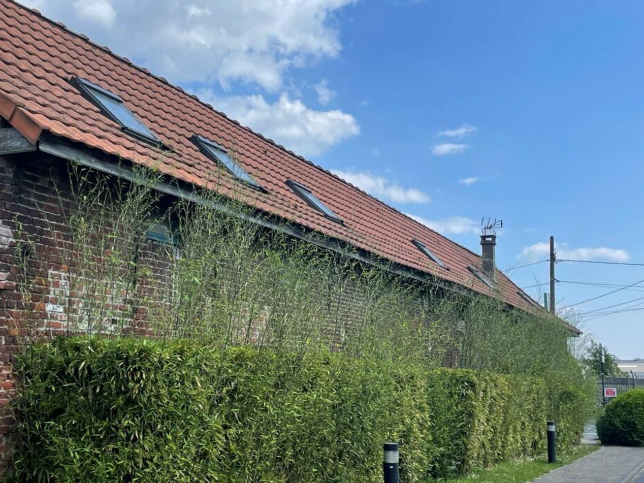 vente - local commercial - wambrechies