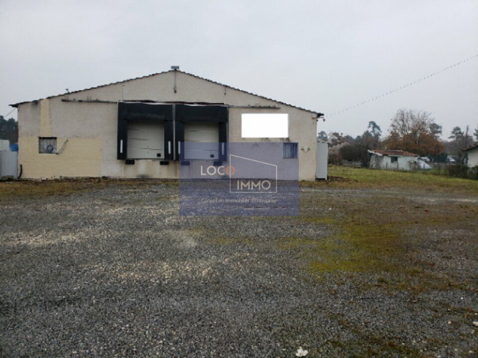 Location local d''activites 700 m² non divisibles