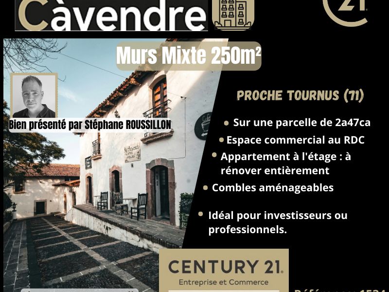 Vente local 250.00 m² à TOURNUS