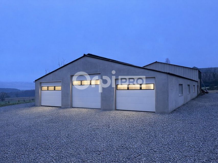 LOCAL D'ACTIVITE A LOUER - 300 m² - SAINT VALLIER