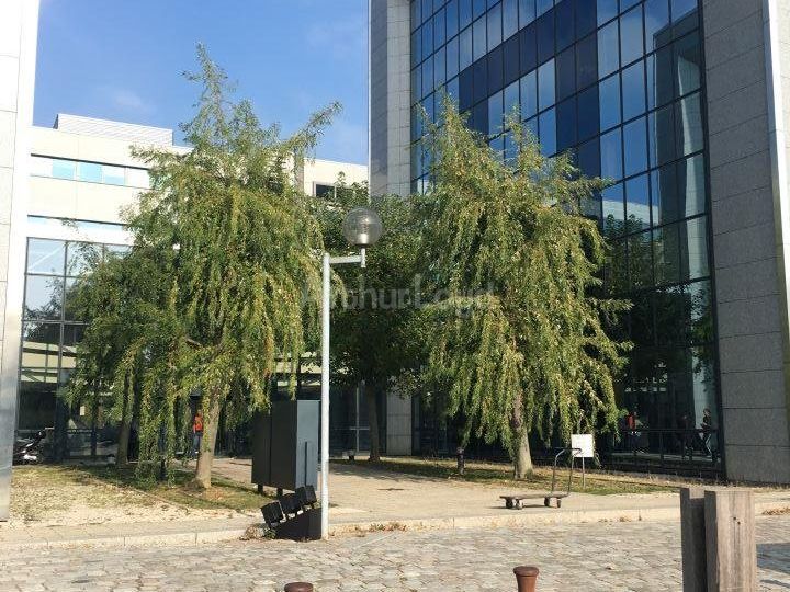 Location bureau - 178 m²