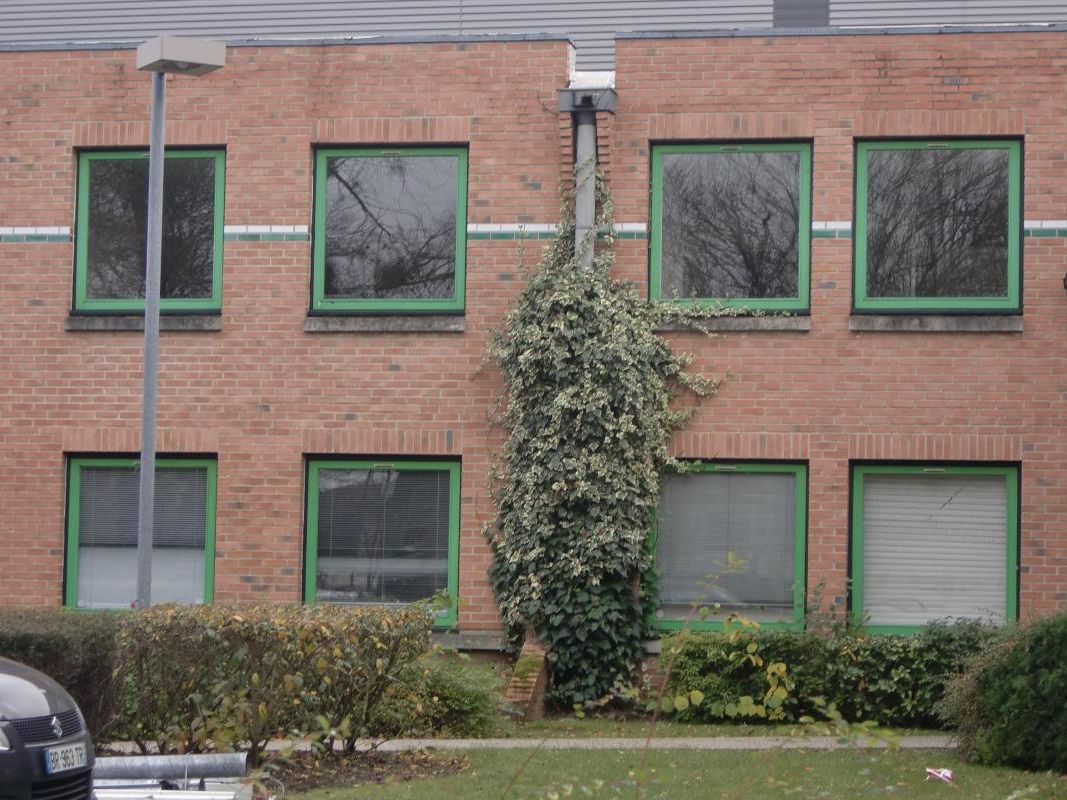 Vente bureaux 242 m² non divisibles