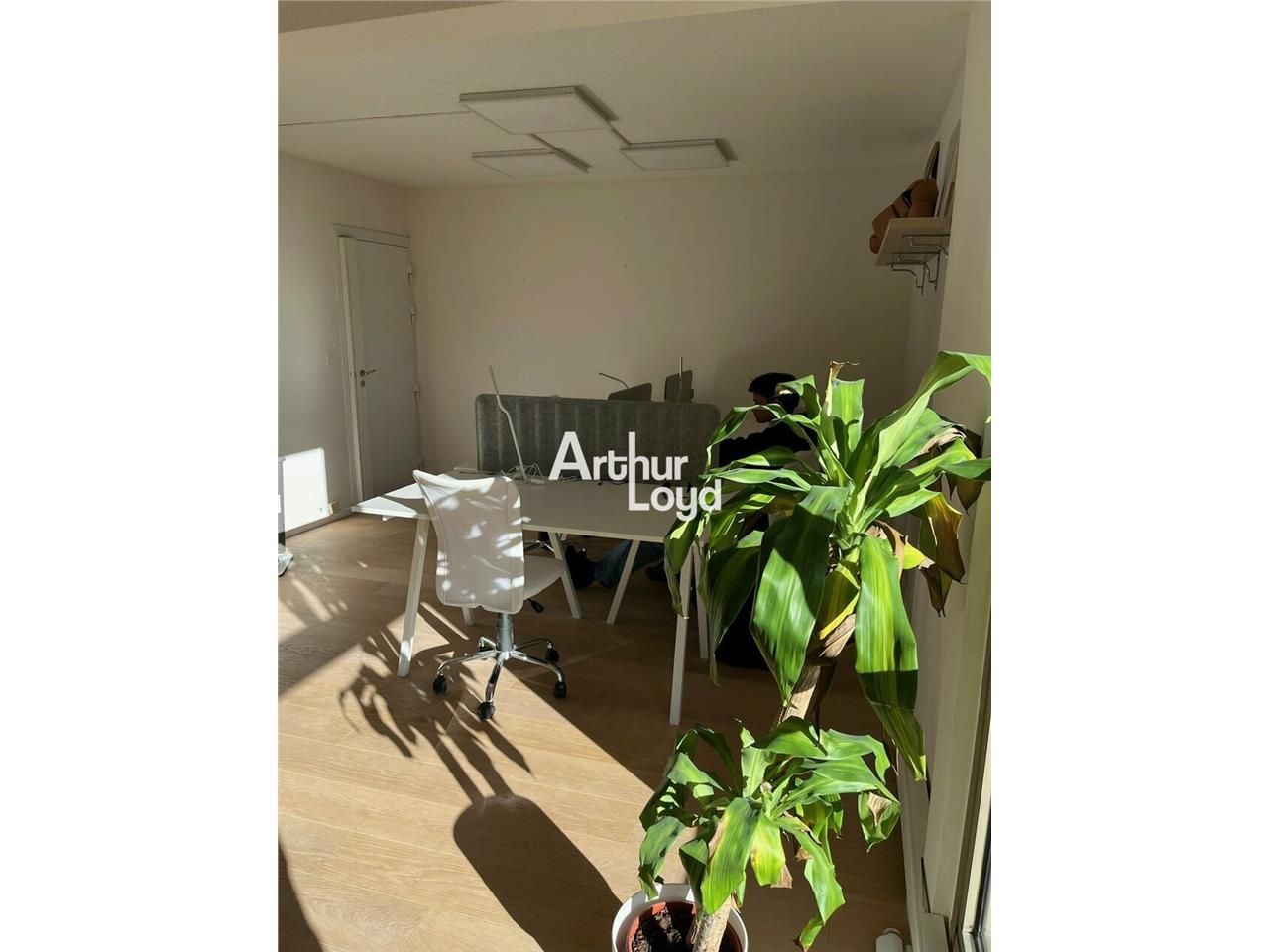 Location bureaux 43 m² non divisibles