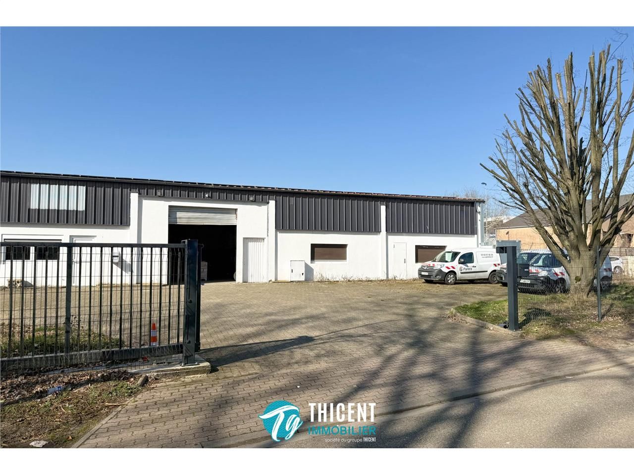 Location immeuble 365 m² à Schiltigheim