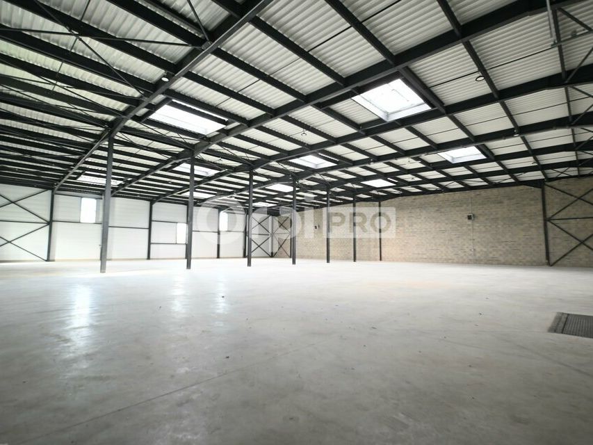 LOCAL D'ACTIVITE A LOUER - 3 328 m² - COLOMBIER-SAUGNIEU