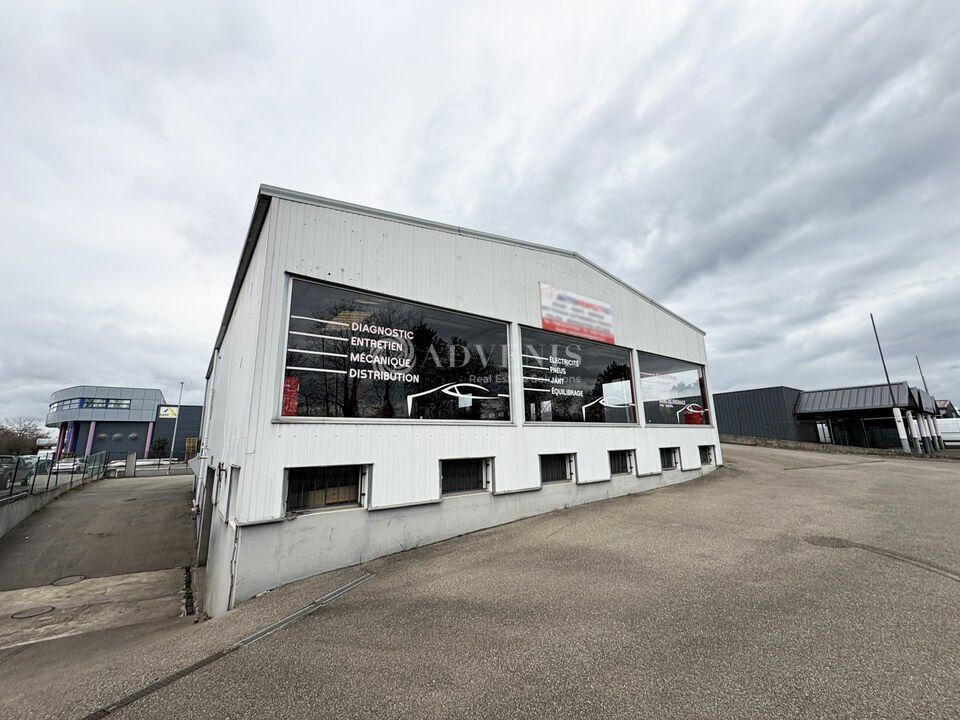 Hall d'activité indépendant à louer - Zone d'Activités du Cor de Chasse - Illkirch Graffenstaden
