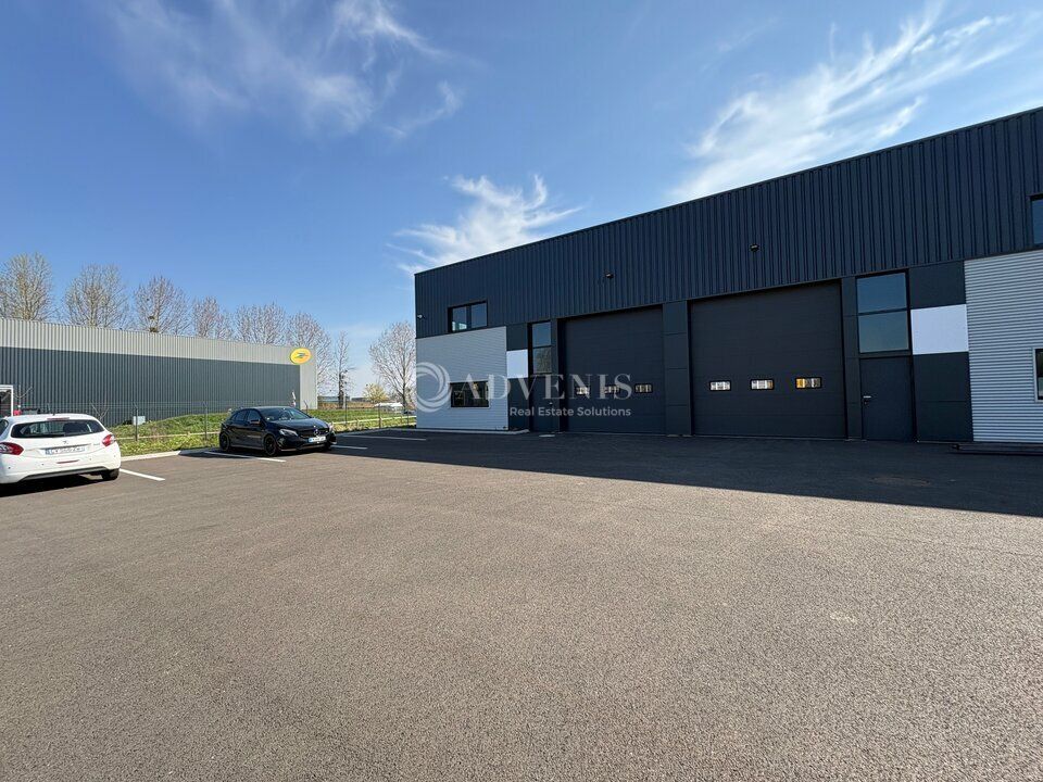 Local d'activités à louer - Éco Parc Rhénan - Reichstett / Vendenheim
