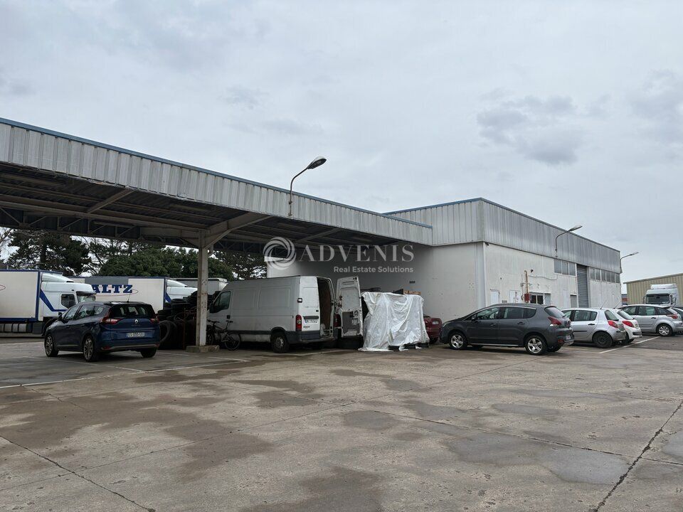 Ensemble immobilier à usage d'activité à louer - Zone Industrielle Sud - Illkirch-Graffenstaden