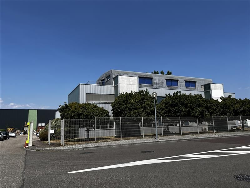 Ensemble immobilier à usage de bureaux avec dépôt à louer - Zone commerciale La Vigie - Ostwald