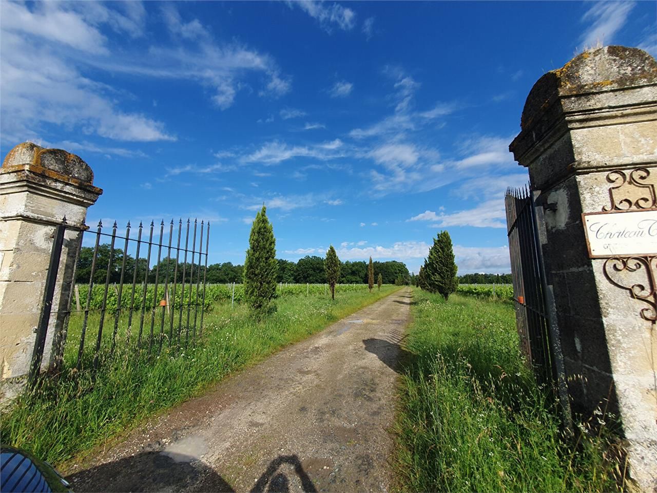 Vente local 1650 m² non divisibles