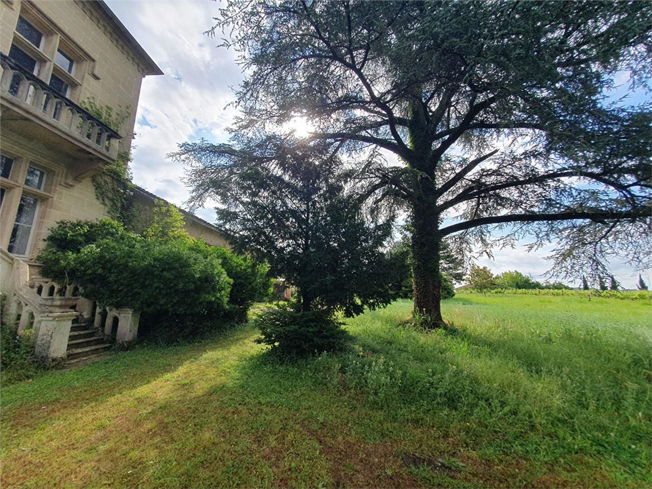 Domaine viticole à vendre ARVEYRES