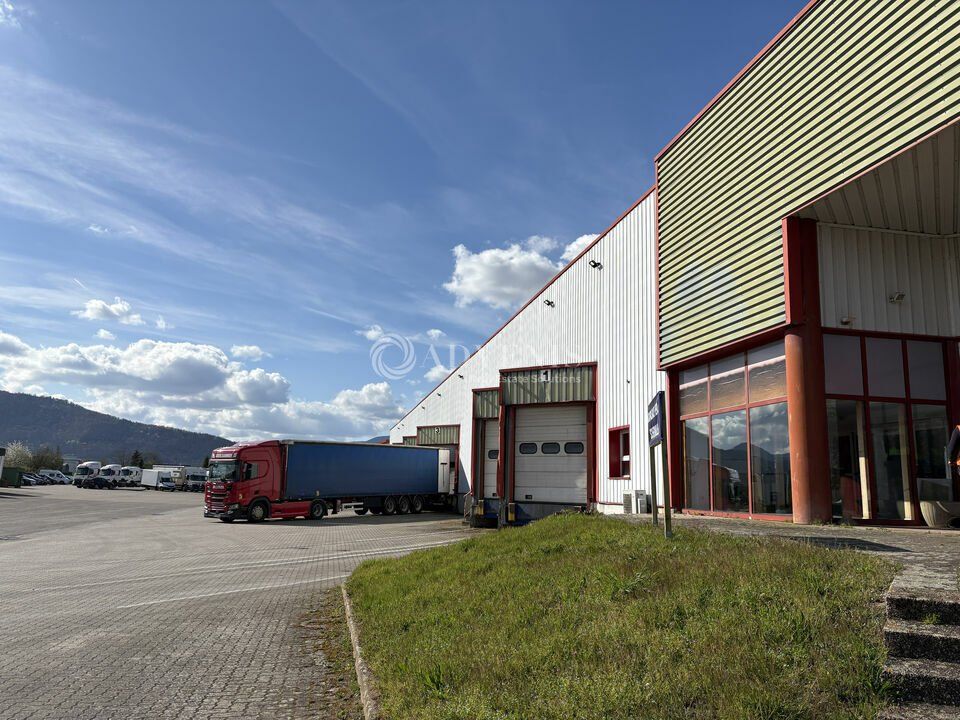 Entrepôt à louer - ZA de Giessen - Scherwiller