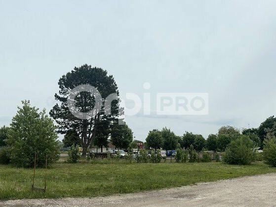TERRAIN CONSTRUCTIBLE A VENDRE - 920 m² - TORCY