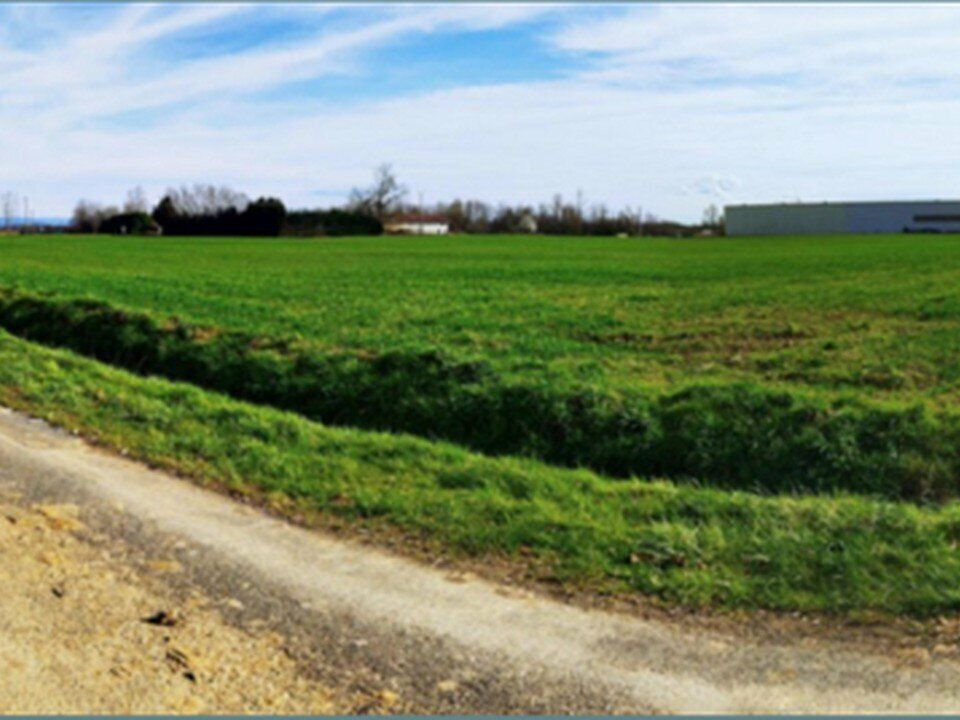 Vente terrain 25000 m² non divisibles