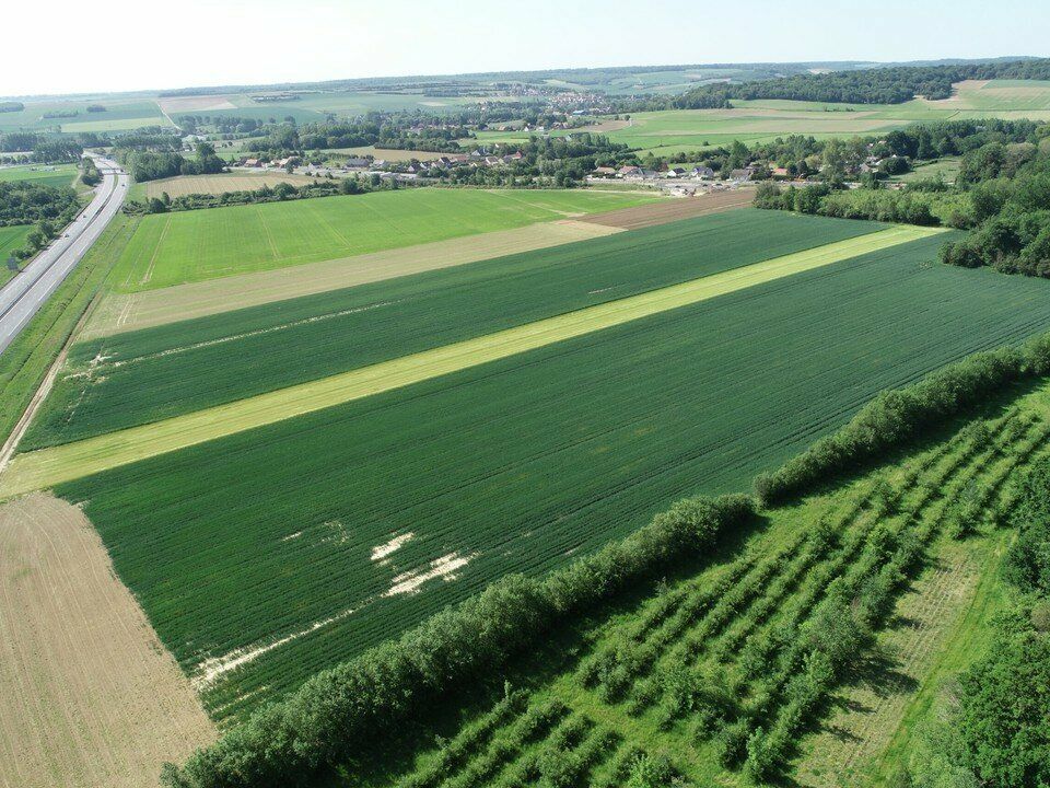 Location terrain 170000 m² non divisibles