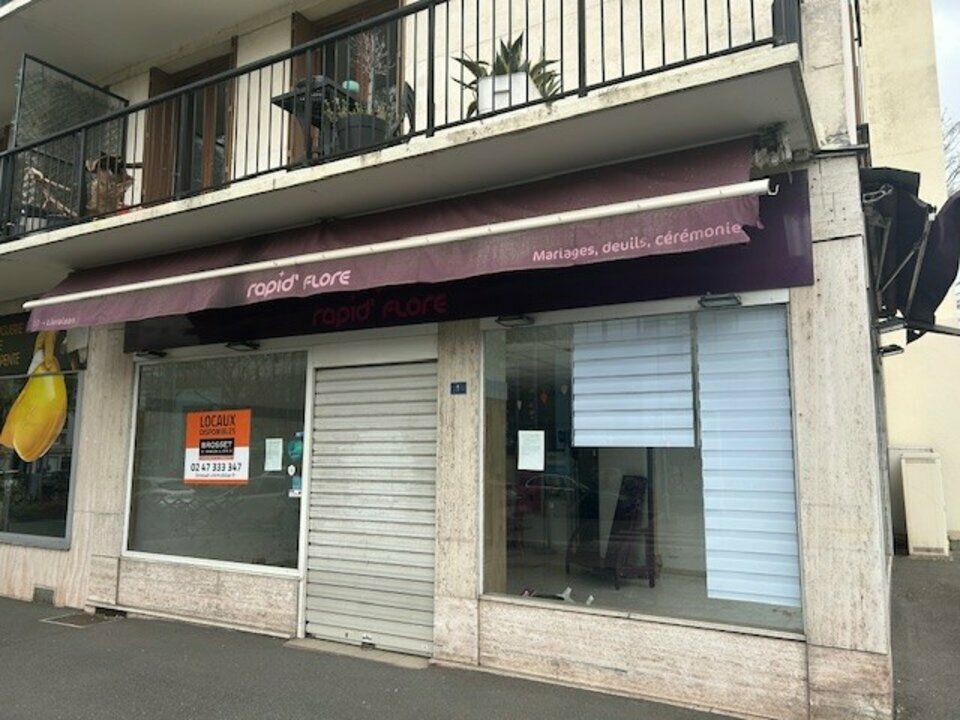 TOURS SUD - CENTRE VILLE DE JOUE LES TOURS -