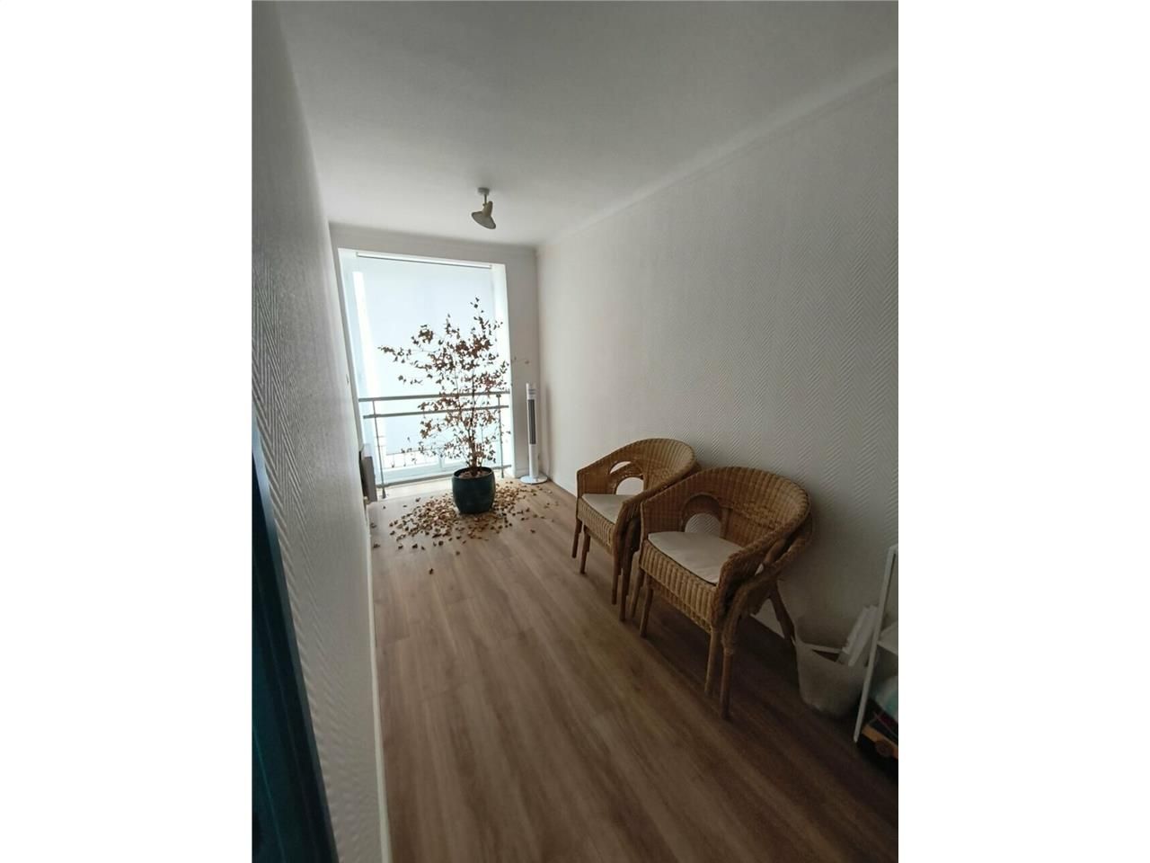 Bureau / Local professionnel 25 m² – Plein centre-ville – Proche Place Royale