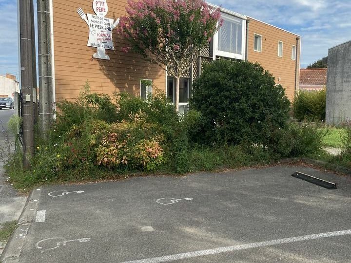 MURS COMMERCIAUX + LOGEMENT - ENSEMBLE LIBRE - FORT POTENTIEL