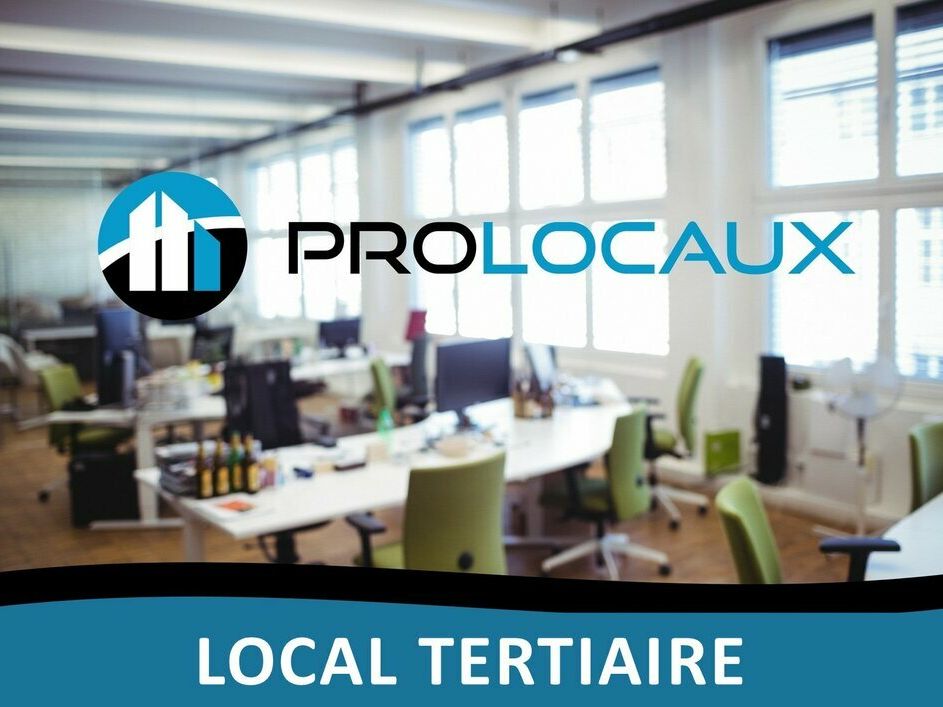 Location local professionnel 546.3 m² divisibles à partir de 101.1 m²