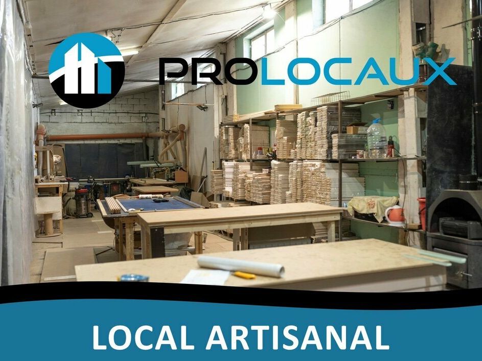 Location local professionnel 296.9 m² divisibles à partir de 88.3 m²