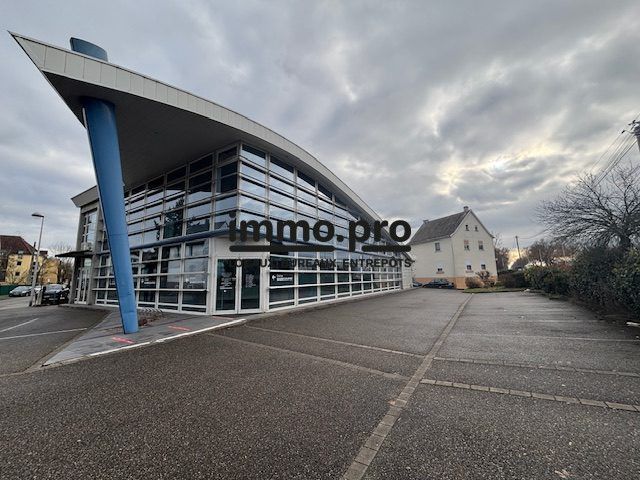 Location bureaux 670.41 m² à Colmar