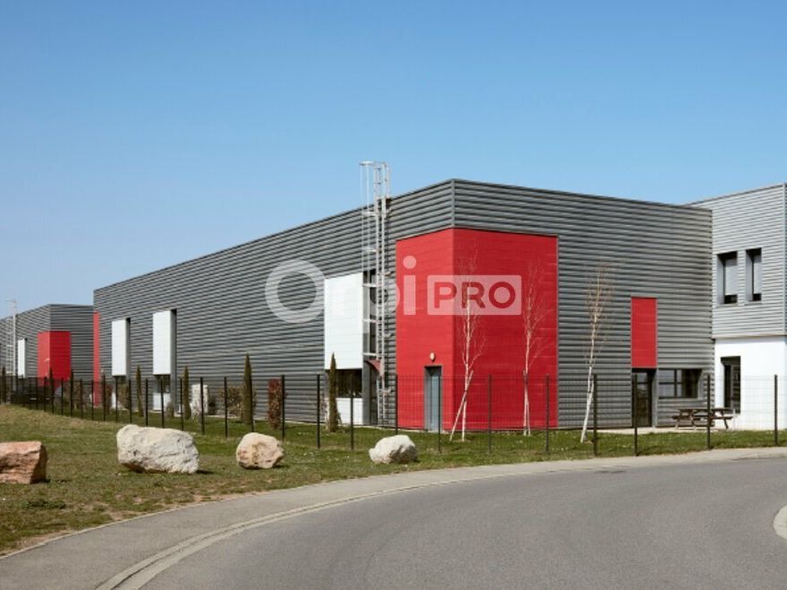 LOCAL D'ACTIVITE A LOUER - 598 m² - SAINT PRIEST