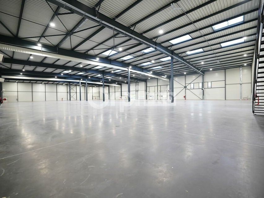 Location local d''activites 4564 m² non divisibles