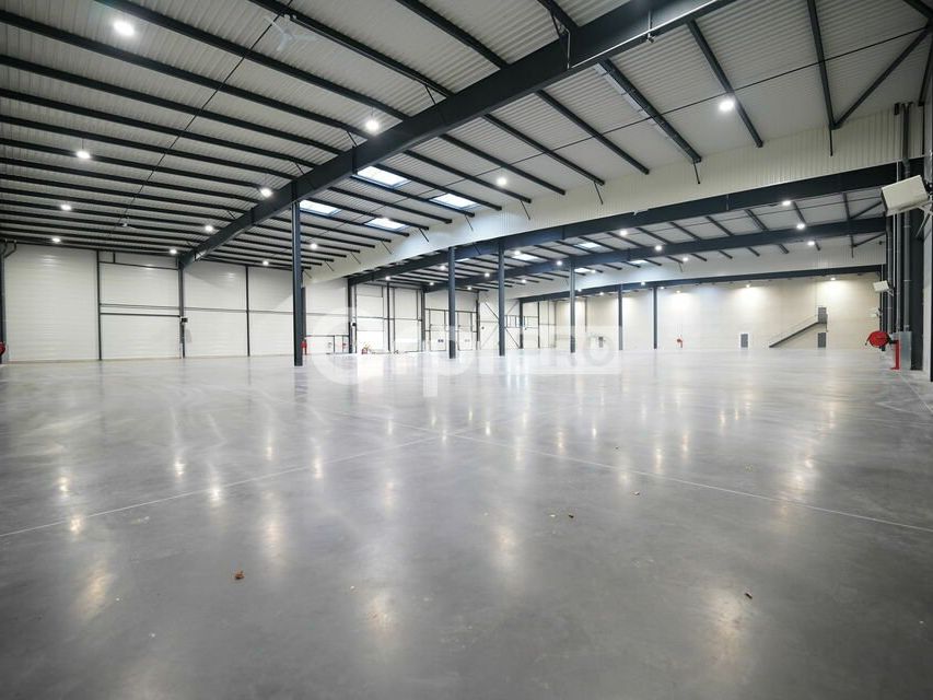 LOCAL D'ACTIVITE A LOUER - 4 564 m² - SAINT-LAURENT-DE-MURE