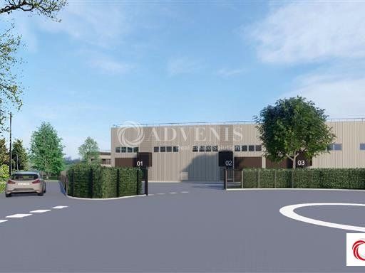 Vente local d''activites 5955 m² divisibles à partir de 199 m²